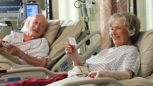 Grey's Anatomy Season 6 Episode 22 - Shiny Happy People