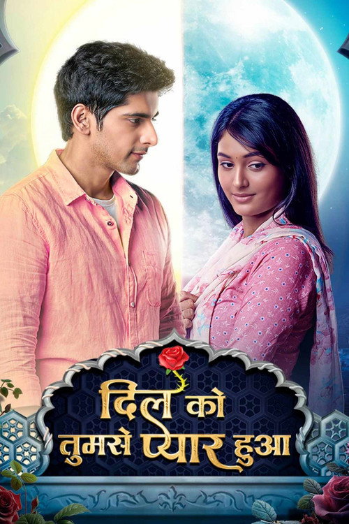 Dil Ko Tumse Pyaar Hua poster