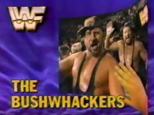 June 30, 1990 - Superstars of Wrestling 200 still