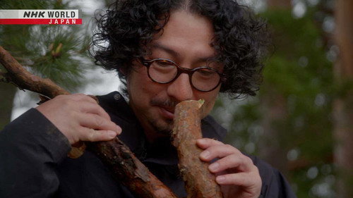 Zero Waste Life Season 5 Episode 9 - Essence of the Forest
