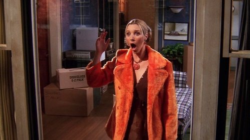Friends Season 5 Episode 14 - The One Where Everybody Finds Out