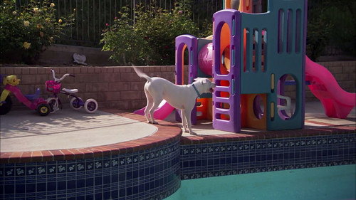 Pit Bulls and Parolees Season 2 Episode 1 - Return to the Ranch