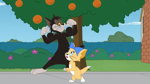 Cat Match Fever still