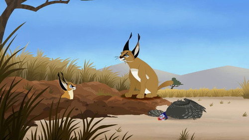 Caracal-Minton still