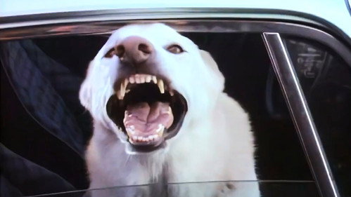 The Hitchhiker Season 1 Episode 18 - Man's Best Friend
