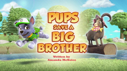 PAW Patrol Season 12 Episode 9 - Pups Save a Big Brother