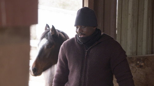 90 Day Fiancé Season 9 Episode 8 - Get Off Your High Horse