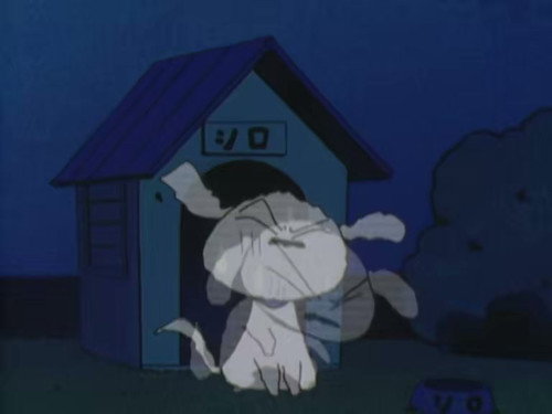 I'm going to collect insects. still