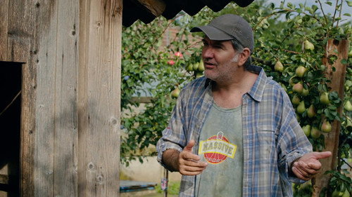 Las Fierbinti Season 30 Episode 15 - Episode 15