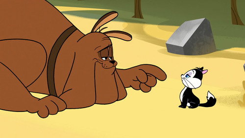New Looney Tunes Season 3 Episode 12 - Pussyfoot Soldier