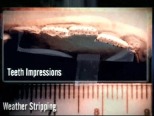 Forensic Files Season 7 Episode 6 - A Bite Out of Crime