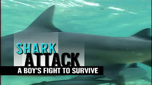 Shark Week Season 17 Episode 8 - Shark Attack: A Boy's Fight to Survive