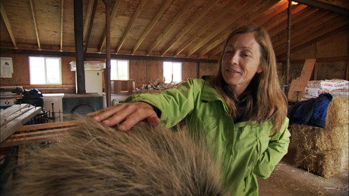 Dr. Oakley, Yukon Vet Season 3 Episode 8 - Cat Out of Hell