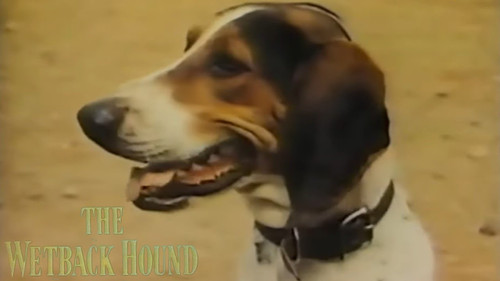 The Wonderful World of Disney Season 5 Episode 25 - The Wetback Hound