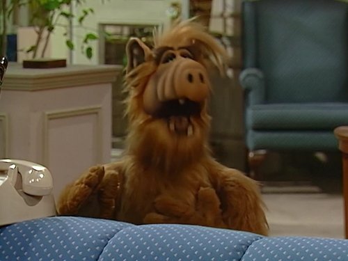 ALF Season 1 Episode 18 - Border Song