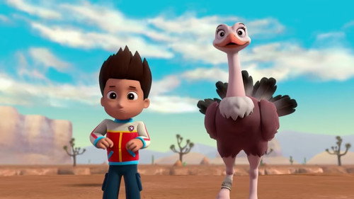 PAW Patrol Season 6 Episode 12 - Pups Save the Baby Ostriches