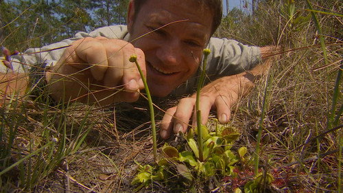 Deadly 60 Season 3 Episode 18 - Southern States
