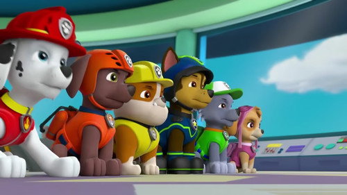 PAW Patrol Season 6 Episode 13 - Pups Save Gustavo's Guitar