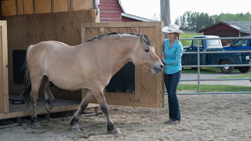 Heartland Season 11 Episode 4 - How to Say Goodbye