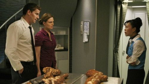 Bones Season 4 Episode 10 - The Passenger in the Oven
