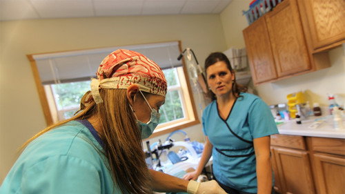 Dr. Oakley, Yukon Vet Season 1 Episode 4 - Reindeer Pains