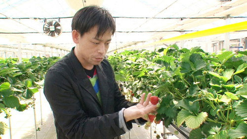 RISING Season 1 Episode 5 - Global Branding Through Smart Farming - Hiroki Iwasa