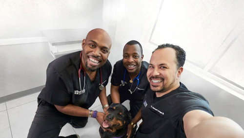 The Vet Life Season 2 Episode 2 - Not So Easy Riders