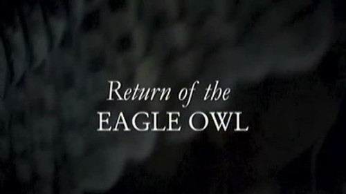 Natural World Season 24 Episode 5 - Return Of The Eagle Owl