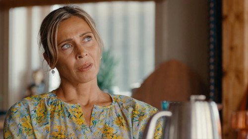 The Sommerdahl Murders Season 5 Episode 7 - A big fish in the net (1)