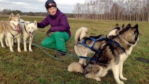 Kesslers Expedition Season 4 Episode 1 - So weit die Huskys laufen (1)