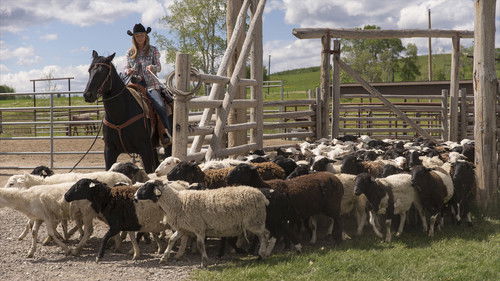 Heartland Season 7 Episode 4 - The Penny Drops