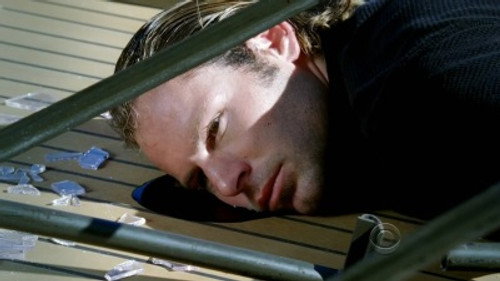 CSI: NY Season 6 Episode 8 - Cuckoo's Nest