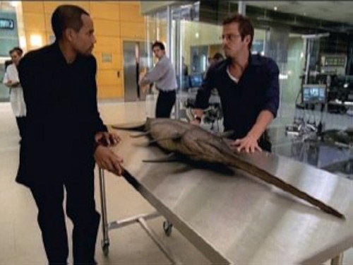 CSI: NY Season 2 Episode 5 - Dancing With The Fishes