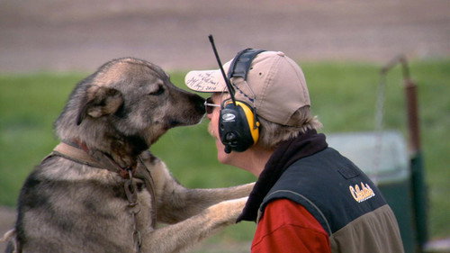 Modern Marvels Season 17 Episode 5 - Dogs