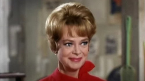 Petticoat Junction Season 6 Episode 10 - Bye, Bye, Doctor