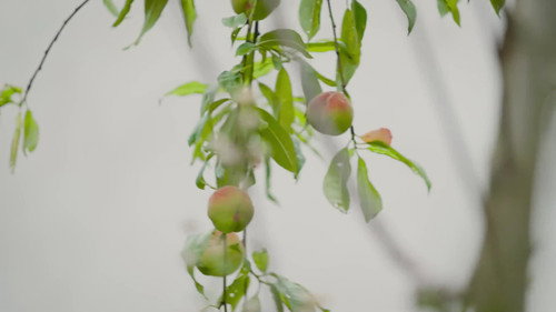 Natur im Garten Season 27 Episode 4 - Episode 4