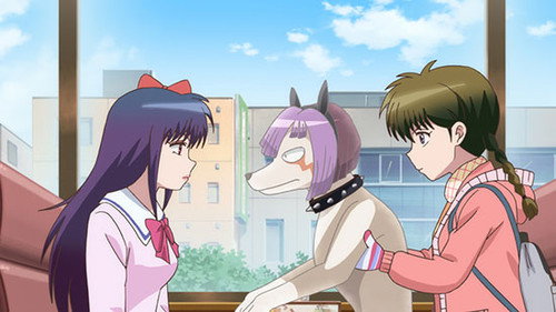 Rin-ne Season 3 Episode 24 - Supplemental Class for Fierce Dog Catching / Money Spirit / Evil Spirit’s Legacy