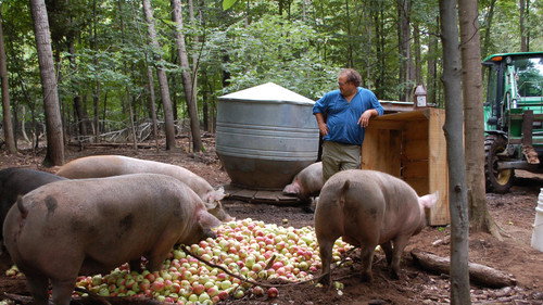 A Chef at the Shack Season 2 Episode 2 - Episode 2