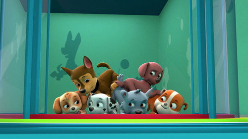 undefined Season 1 Episode 28 - Pups Make a Splash