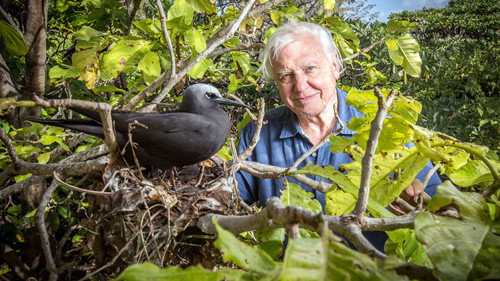 Great Barrier Reef with David Attenborough Season 1 Episode 2 - Visitors