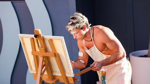 Big Brother Season 15 Episode 19 - Episode 19