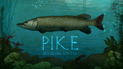 Mortimer & Whitehouse: Gone Fishing Season 3 Episode 3 - Pike: Broadland, Norfolk