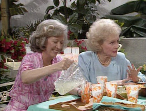 The Golden Girls Season 1 Episode 23 - Blind Ambitions