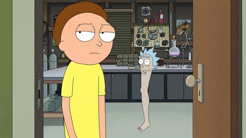 undefined Season 7 Episode 6 - Rickfending Your Mort