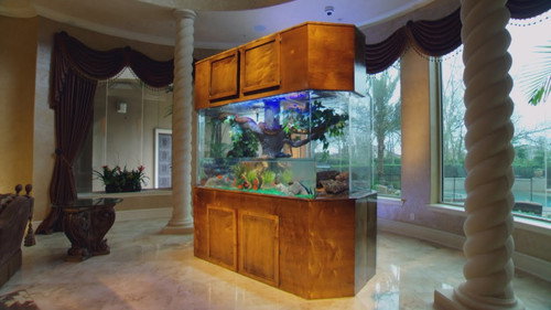 Tanked Season 6 Episode 2 - Dwight Howard's Slithering Slam Dunk