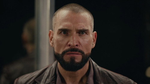 El manifiesto still