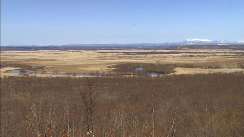 Wild Hokkaido! Season 1 Episode 10 - Kushiro Wetland