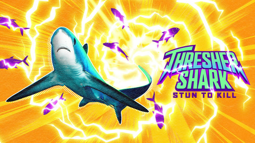 Shark Week Season 39 Episode 20 - Thresher Shark: Stun to Kill