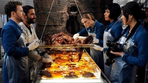 Bones Season 9 Episode 17 - The Repo Man in the Septic Tank