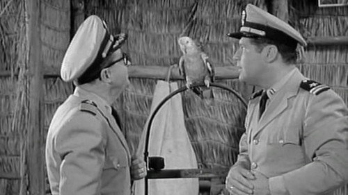 McHale's Navy Season 3 Episode 16 - The Stool Parrot